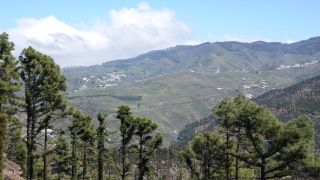 2022-03-GranCan-Mirador_Sargento-Trekking-PM-NN-90.JPG